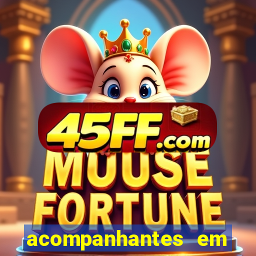 acompanhantes em porto belo